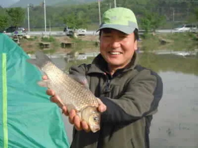 입석낚시터(토종대물댐붕어)5월13일조황입니다