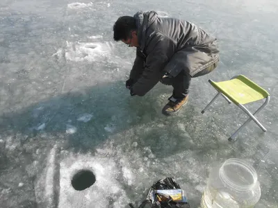 **포천 빙어 축제**