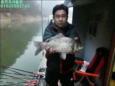 17.03.06 송전지 서울집 조황