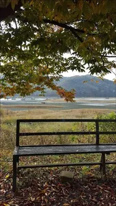 16.10.29 송전지 서울집 조황