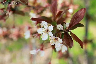 [황청낚시터]경기/인천 낚시터 추천 즐거움을 주는그곳!!!
