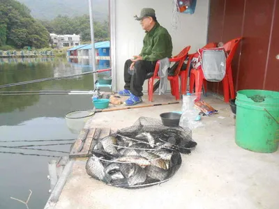 *****실시간 조황사진*****