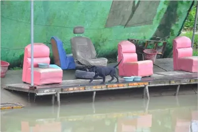 [유일낚시터] 수요일방류모습입니다,~~!