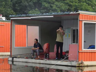 6월 22일 주말 조황정보