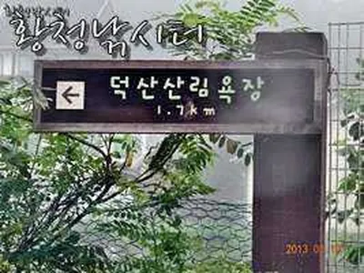 [강화도 황청낚시터]덕산산림욕장/ 8월10일