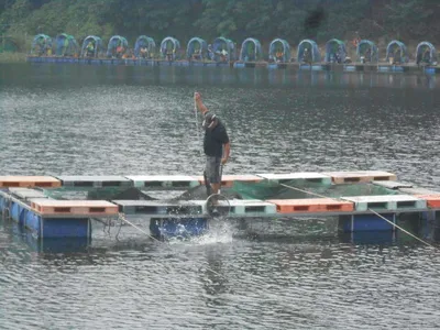 *****실시간 조황사진*****