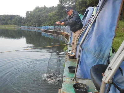 *****실시간 조황사진 올려봅니다*****