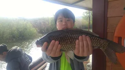 징금다리연휴시작 사월끝주말 오목낚시터 조황