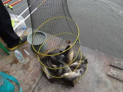 오늘은 대박치는 날 인가봅니다