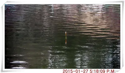 충남 아산 월선낚시터 1월 28일자 스케치