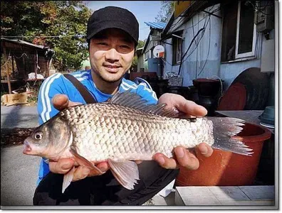 10월한달간 월척행진 사진 모음전