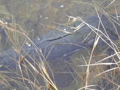 2012년 인사드립니다.