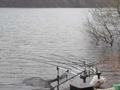 안성죽산장계지