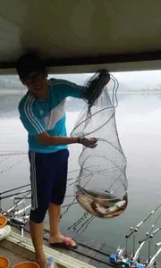 국화지 8월 셋째 주 조황입니다.