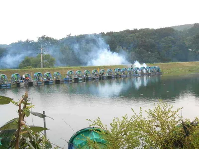 *****실시간 조황올립니다*****