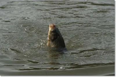 택암낚시터 7월19일조황정보