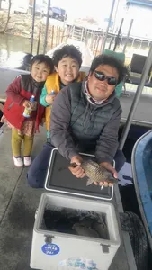 오목낚시터 조황~조황