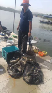 즐거운연휴 보내셨나요^^오목지 조황입니다