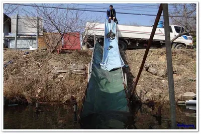 3월 15일 각평낚시공원 붕어대량 방류 & 조황정보