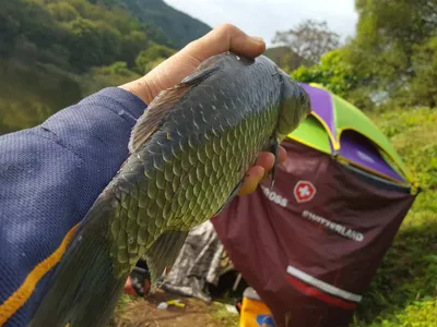 안성죽산장계지조항전경입니다