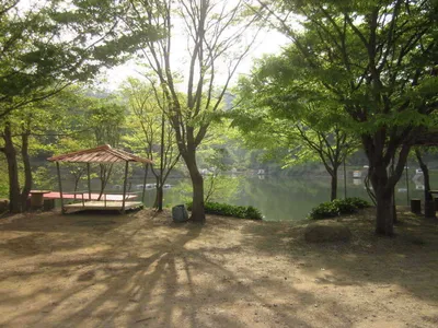 백동지에도 봄이...