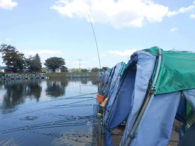 *****실시간 조황사진*****