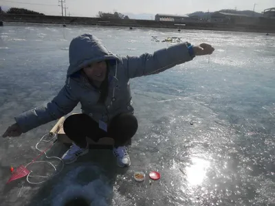 **포천빙어축제**