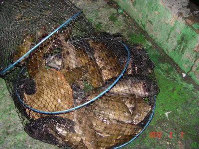 2월 2일 조황 안내!! ★ 김포바다하우스낚시터 ★