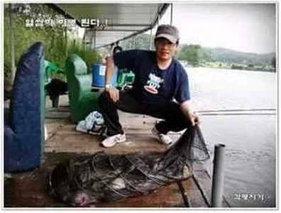 [각평지] 6월 5일 조황정보 (열씸히 하면 된다)