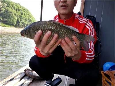 17.05.21 송전지 서울집 조황