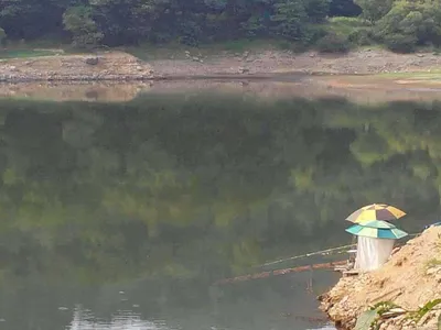 안성 죽산 장계지