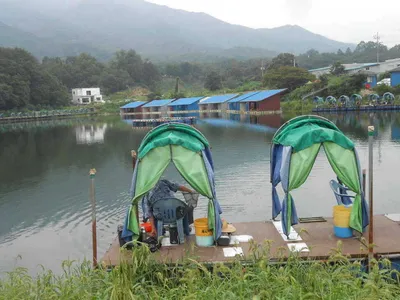 *****실시간 조황사진*****