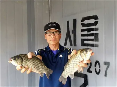 16.06.17 송전지 서울집 조황