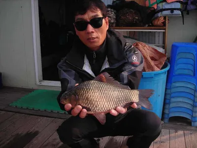 의암호 삼천소식