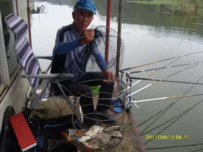 "가교리지"조황