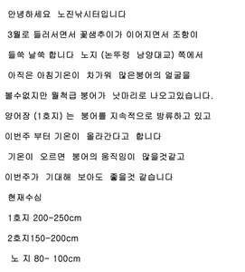 토종잡이터<노진낚시터>조항정보