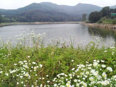 안성 죽산 장계지