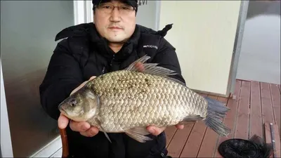 2016.03.09 송전지 서울집 조황