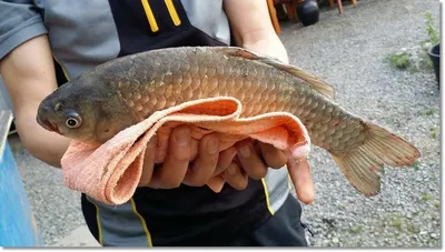 택암낚시터 주말조황소식