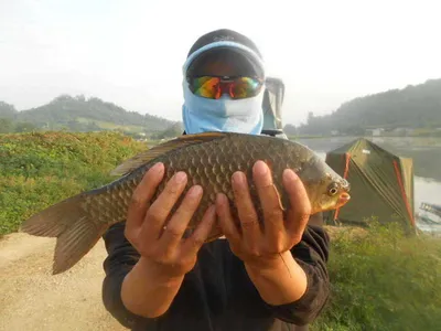 [당진 가교리지 주말 조황정보..]