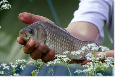 택암낚시터 주간소식