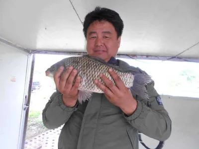 [당진 가교리지 주중조황화보]