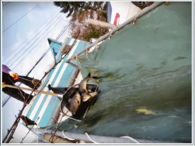 [이천 각평지] 11. 18 (금) 어자원 관리