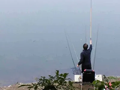 안성 죽산 장계지