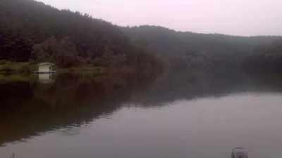 행복낚시터(요룡저수지)조황!!