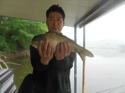 [당진 가교리지 주중 조황화보..]