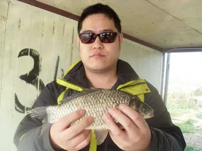 가교리낚시터] [당진 가교리지] 토종 대물 조황체크.