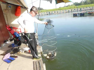 *****실시간 조황사진*****