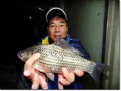 10월4째 주말 조황정보