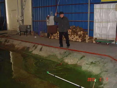 김포바다낚시터 2월 7일 조황(★★★☆☆) - 양호!!